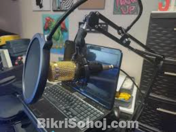 Bm 800 condencer mic orginal